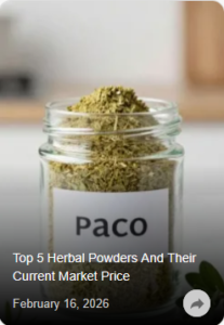 21.02.2026_17.46.59_REC