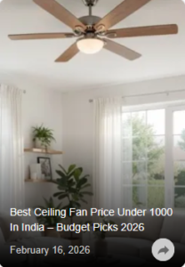 21.02.2026_17.47.12_REC