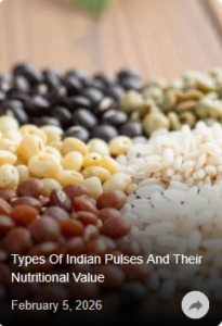 21.02.2026_17.48.21_REC