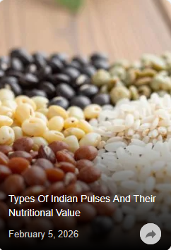 21.02.2026_17.48.21_REC