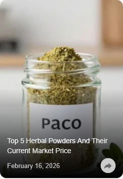 Screenshot 2026-02-21 at 17-04-04 ExportersIndia - B2B Business Marketplace for Manufacturers Exporters & Suppliers